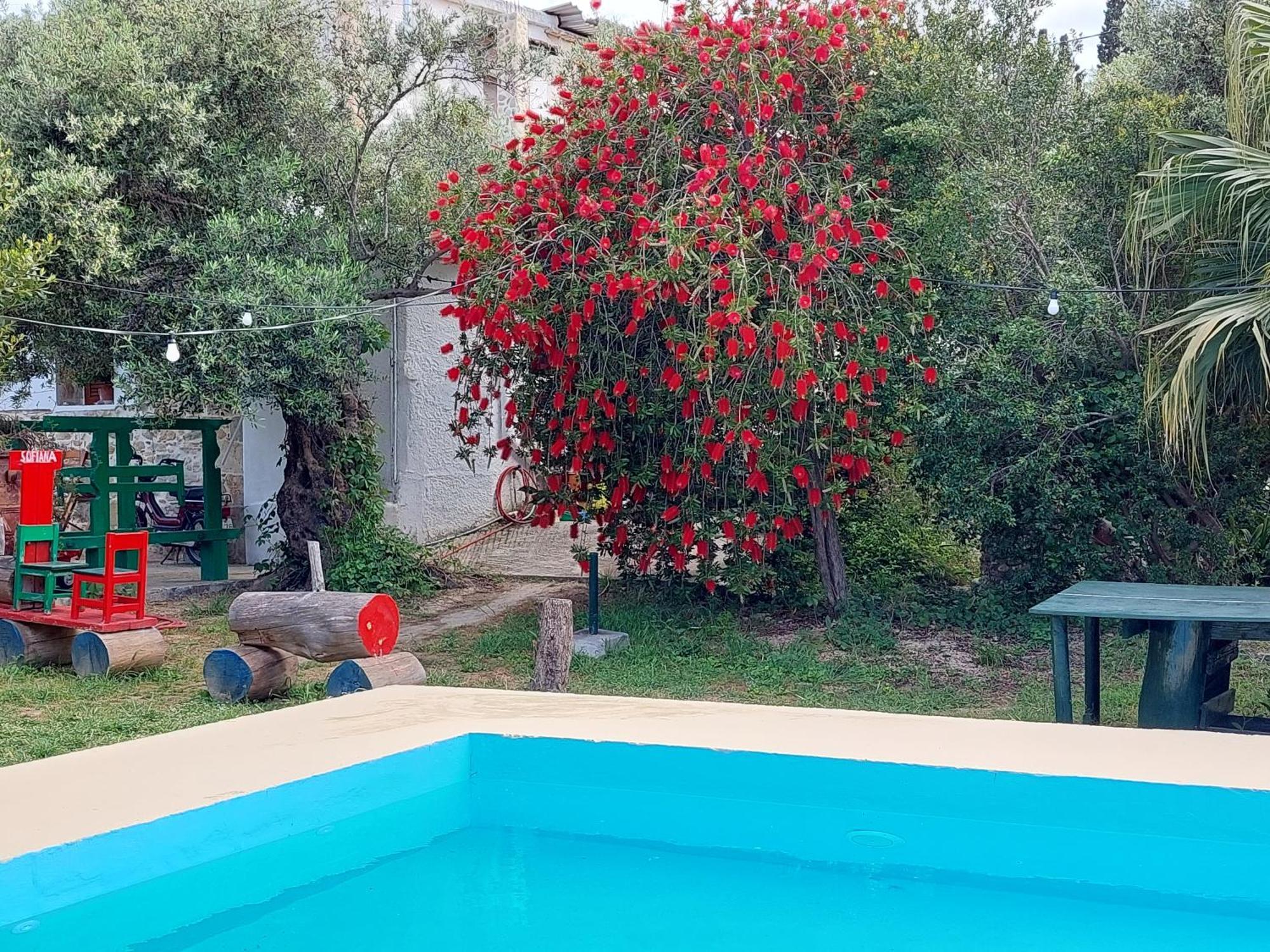 DhrapaniásSofiana'S Garden Retreat With Private Poolアパートメント 部屋 写真